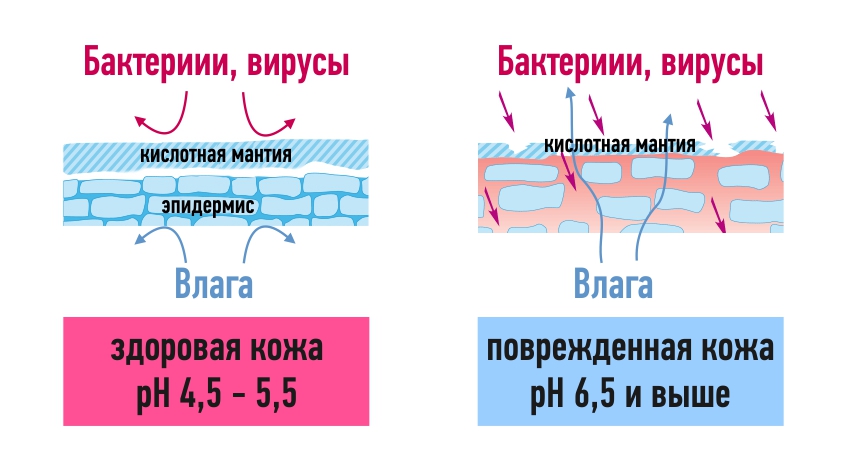 Сделаем кислые лица: роль pH в косметологии - в Москве